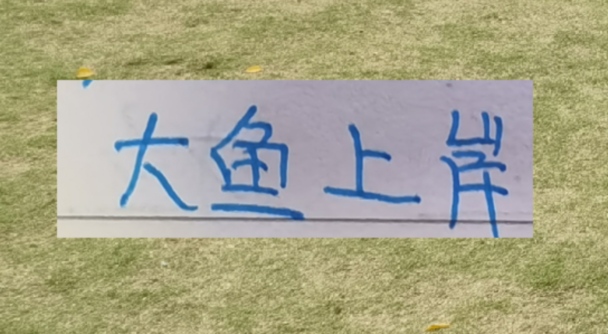 开云官网-海港本土大鱼上岸了！新赛季前2轮转正不在话下吗？